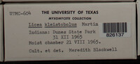 Image Associated With the Occurence